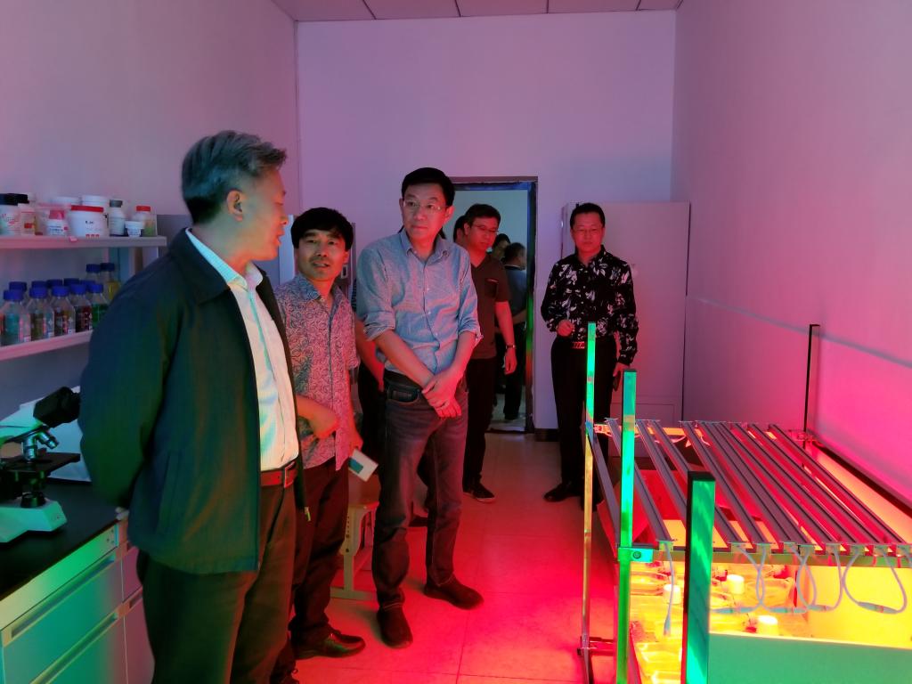 参观了攀枝花学院微藻生物技术实验室