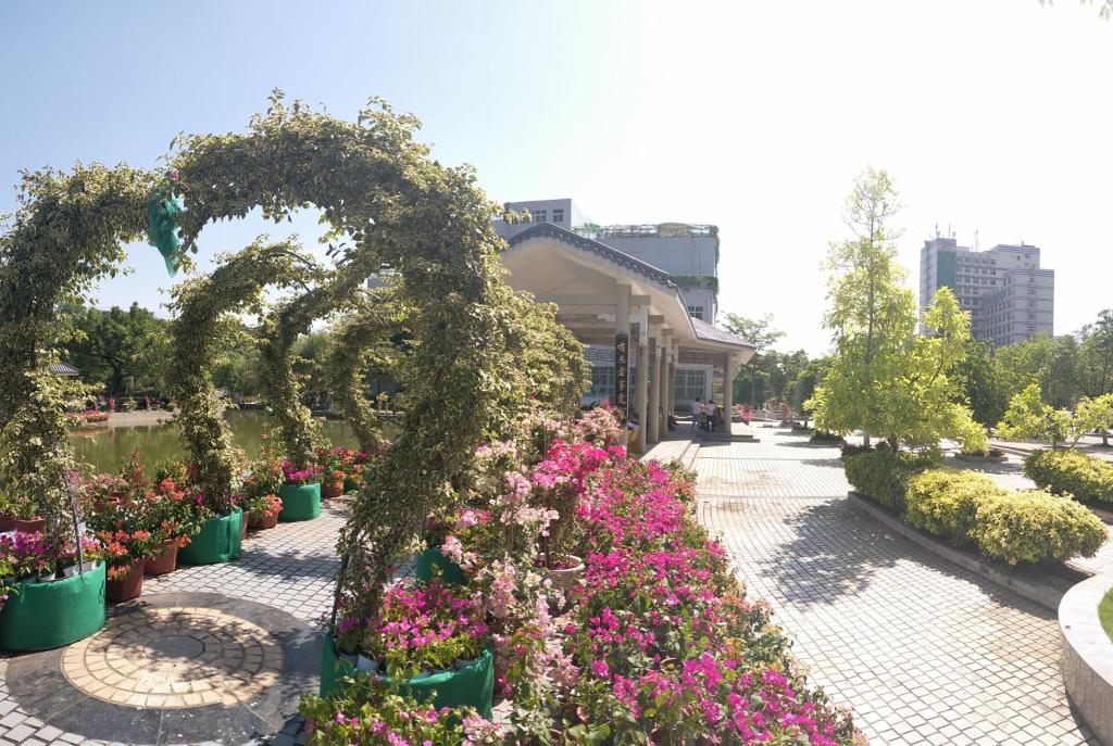 心形三角梅花架