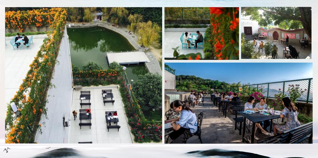 花开四季、生机盎然的图书馆室外阅读区